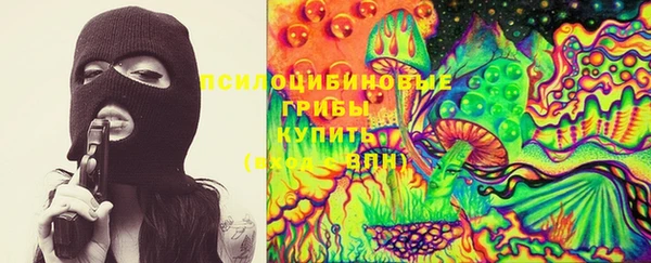 ешки Богородск